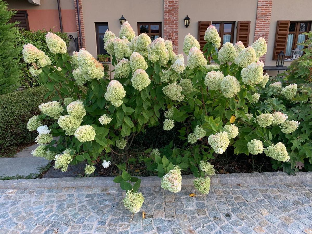 Agriturismo Sarmore Salmore Bagian luar foto